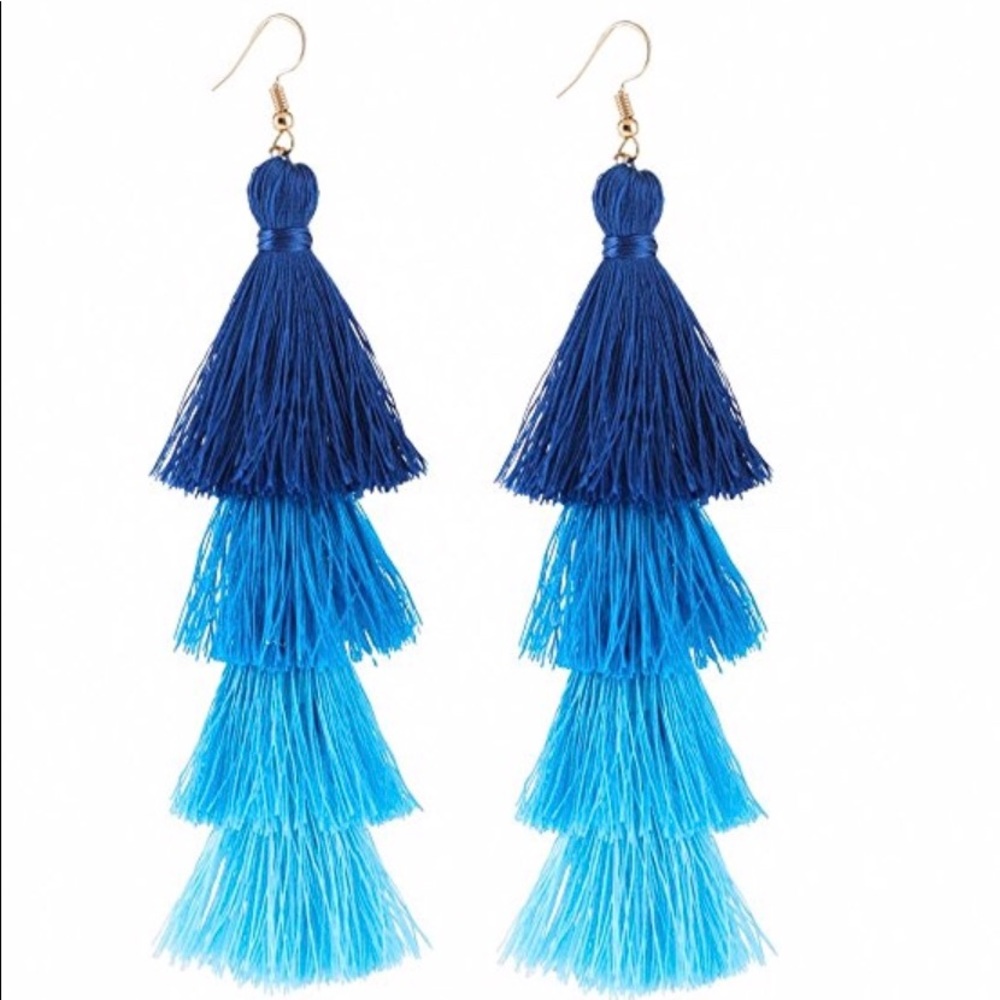 Tassel earrings never worn!